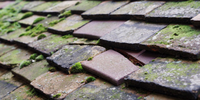 Gravenhurst roof repair costs
